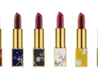 英语热词 | 故宫口红系列惊艳亮相 lipstick collection