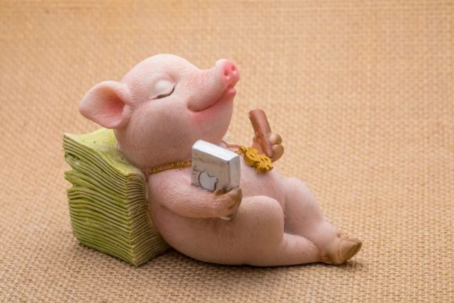 英语口语 | 千万别把猪年说成Pig Year！