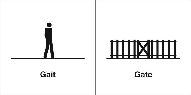 同音异义 | Gait & Gate