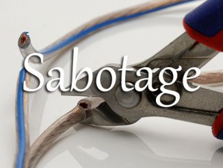 小词详解 | sabotage