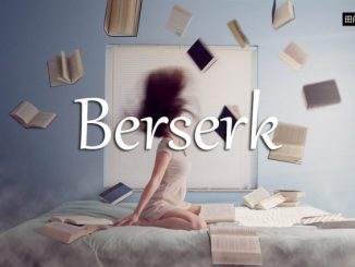 小词详解 | berserk