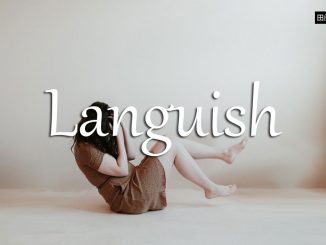 小词详解 | languish