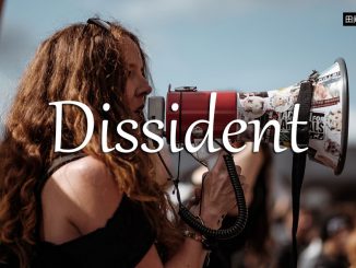 小词详解 | dissident