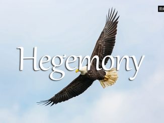 小词详解 | hegemony