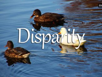 小词详解 | disparity