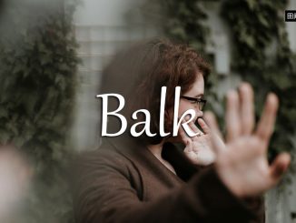 小词详解 | balk