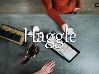 小词详解 | haggle