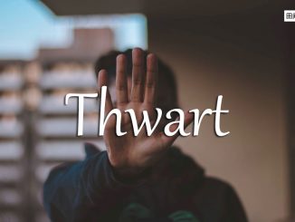 小词详解 | thwart