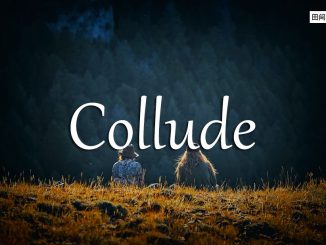 小词详解 | collude