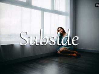 小词详解 | subside