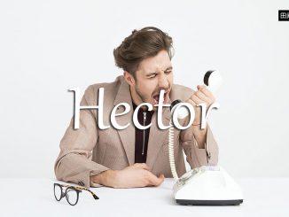 小词详解 | hector