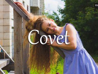 小词详解 | covet