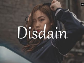 小词详解 | disdain