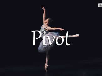 小词详解 | pivot